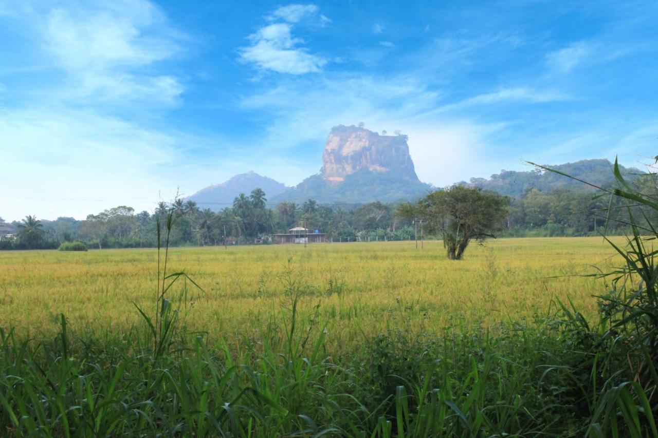 Sigiriya Hillside View Villa Extérieur photo